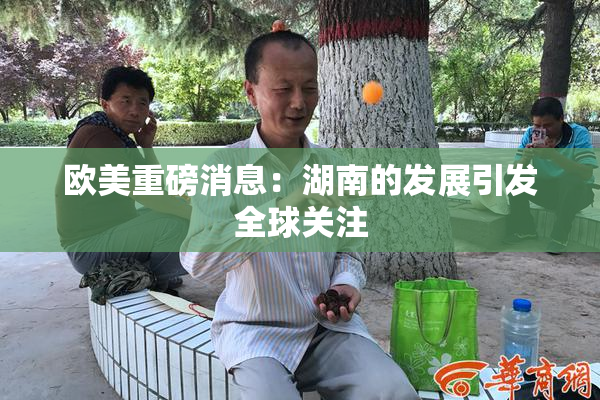欧美重磅消息：湖南的发展引发全球关注