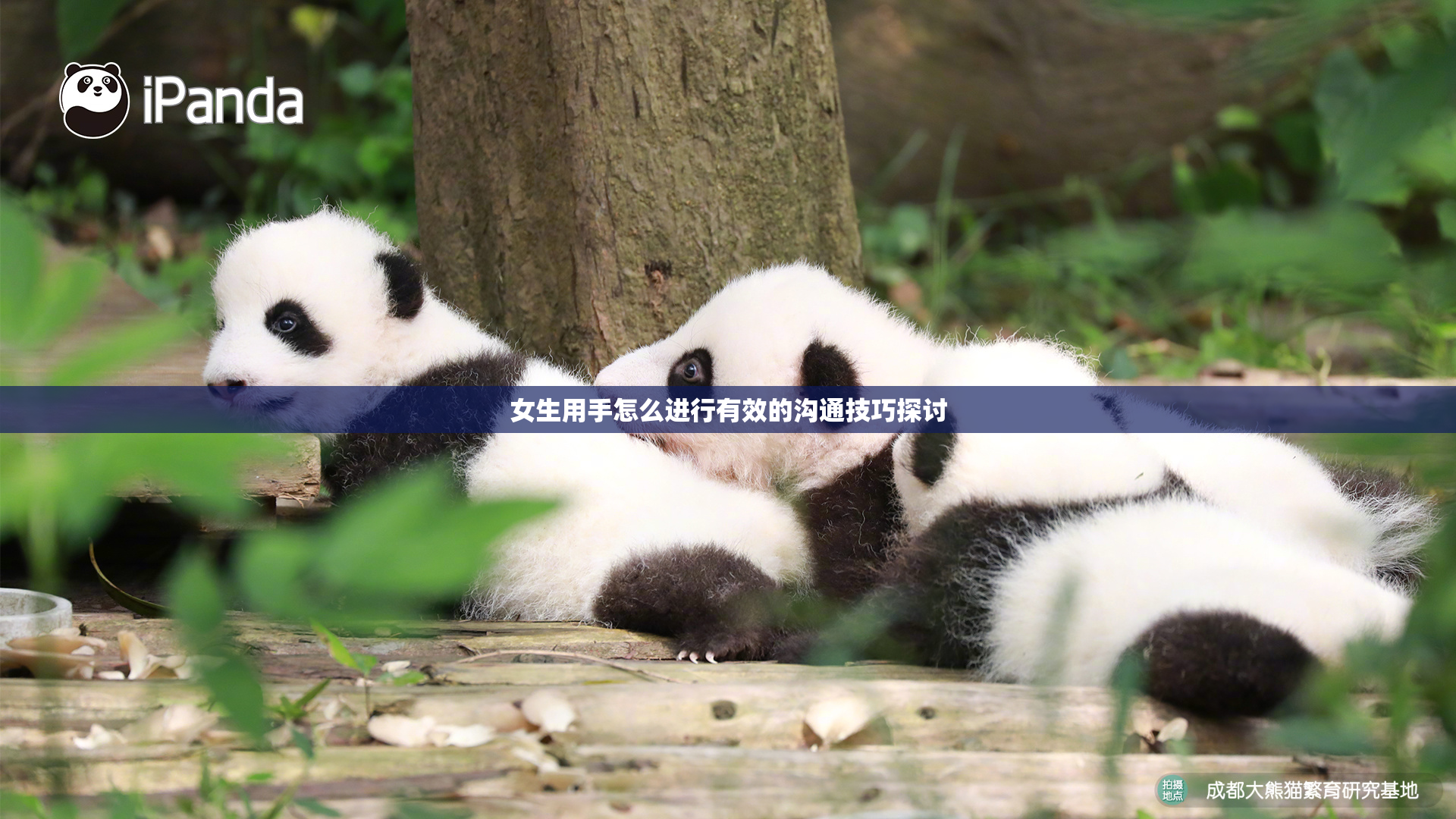 女生用手怎么进行有效的沟通技巧探讨