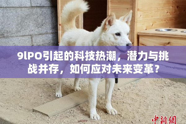 9lPO引起的科技热潮，潜力与挑战并存，如何应对未来变革？