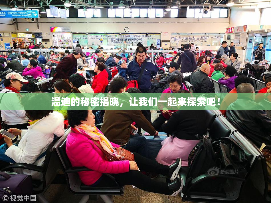 温迪的秘密揭晓，让我们一起来探索吧！