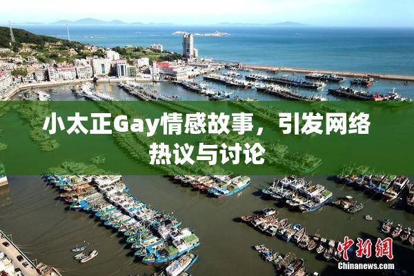 小太正Gay情感故事，引发网络热议与讨论