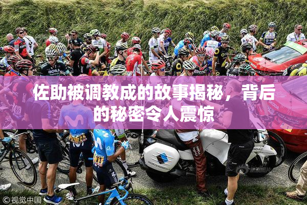 佐助被调教成的故事揭秘，背后的秘密令人震惊