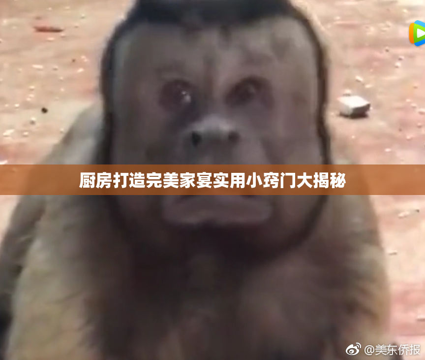 厨房打造完美家宴实用小窍门大揭秘