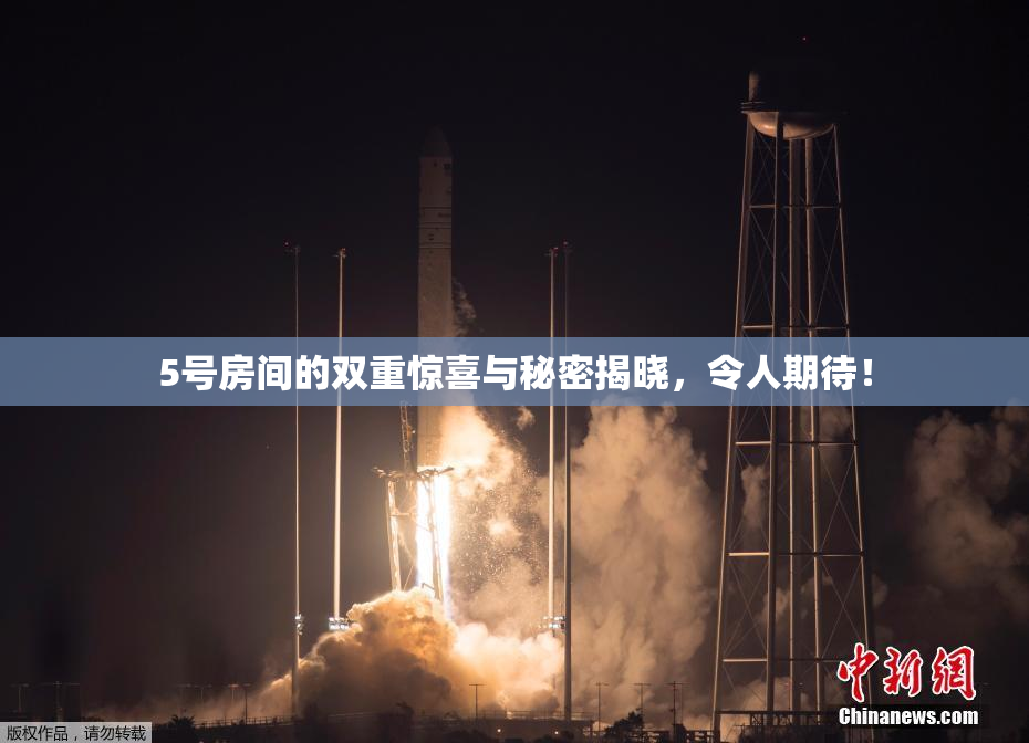 5号房间的双重惊喜与秘密揭晓，令人期待！