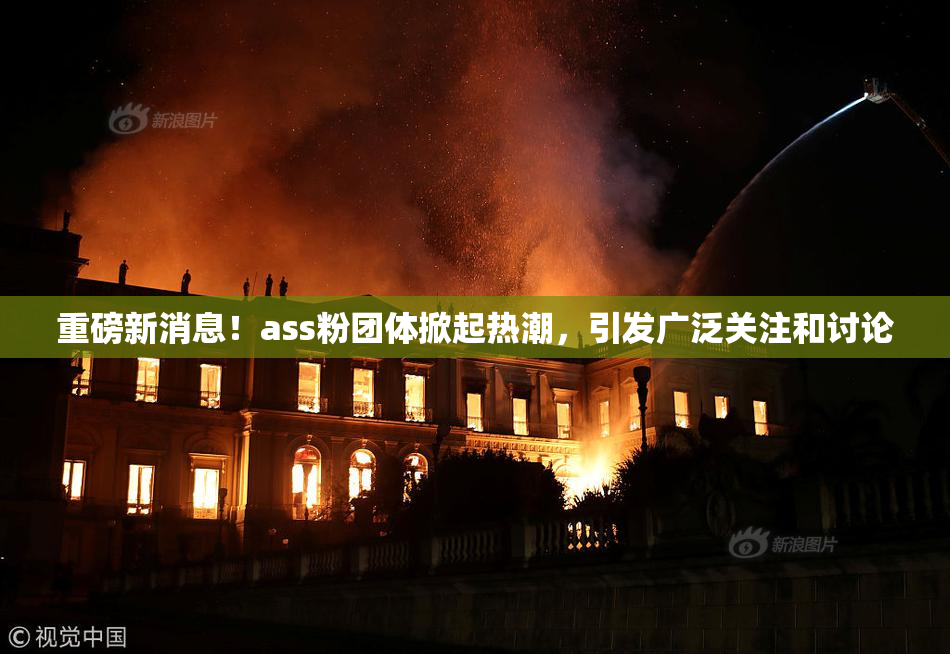 重磅新消息！ass粉团体掀起热潮，引发广泛关注和讨论