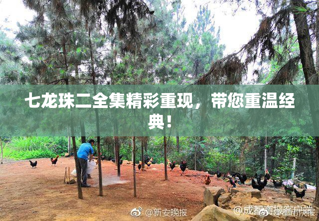 七龙珠二全集精彩重现，带您重温经典！