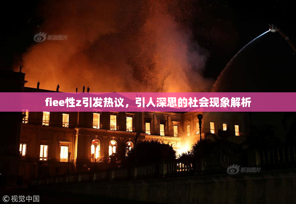 fiee性z引发热议，引人深思的社会现象解析