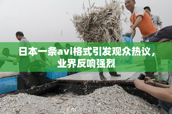 日本一条avi格式引发观众热议，业界反响强烈
