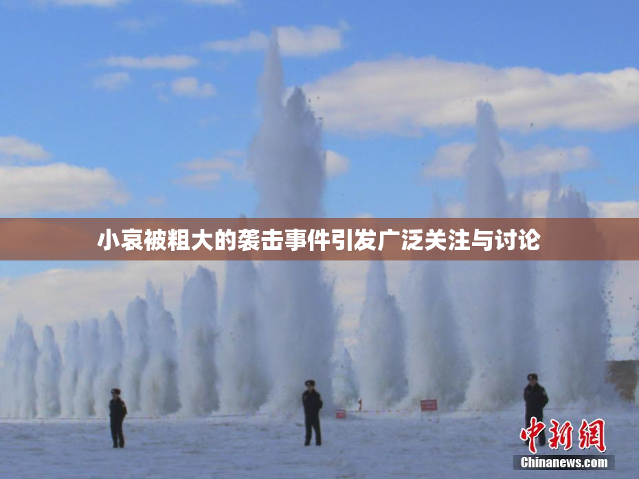 小哀被粗大的袭击事件引发广泛关注与讨论