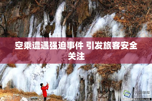 空乘遭遇强迫事件 引发旅客安全关注