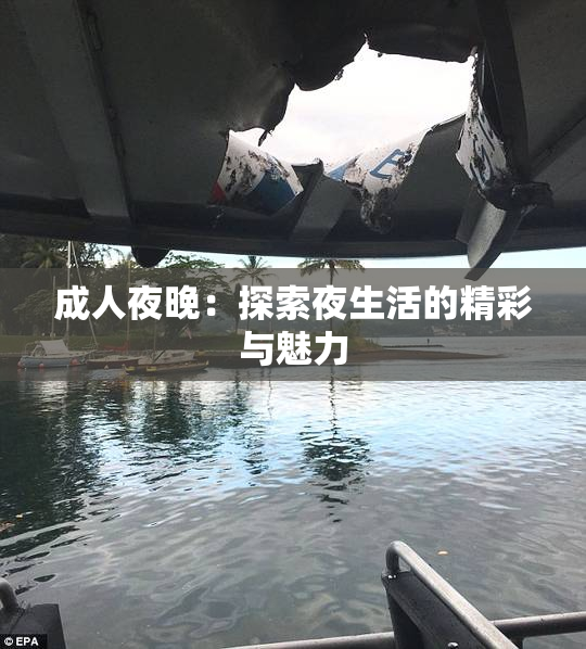成人夜晚：探索夜生活的精彩与魅力