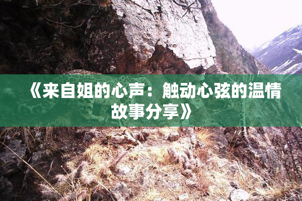 《来自姐的心声：触动心弦的温情故事分享》