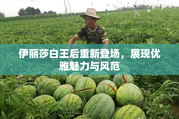 伊丽莎白王后重新登场，展现优雅魅力与风范