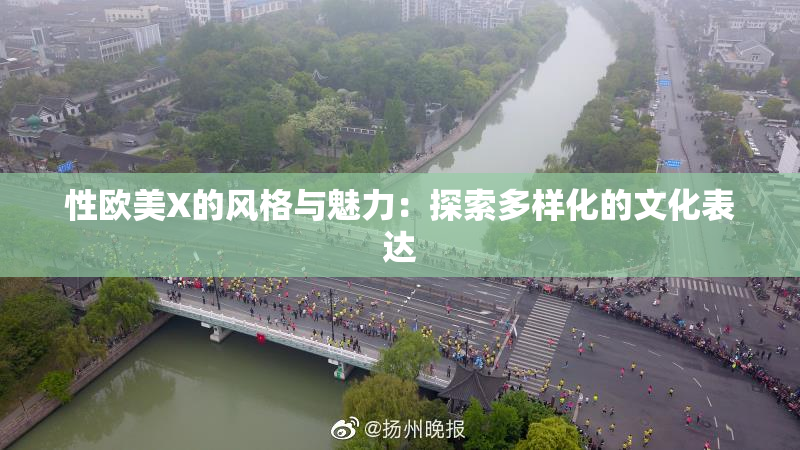 性欧美X的风格与魅力：探索多样化的文化表达