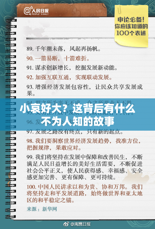小哀好大？这背后有什么不为人知的故事
