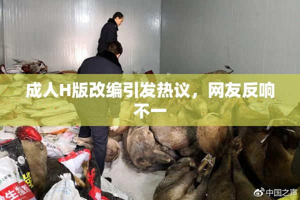 成人H版改编引发热议，网友反响不一