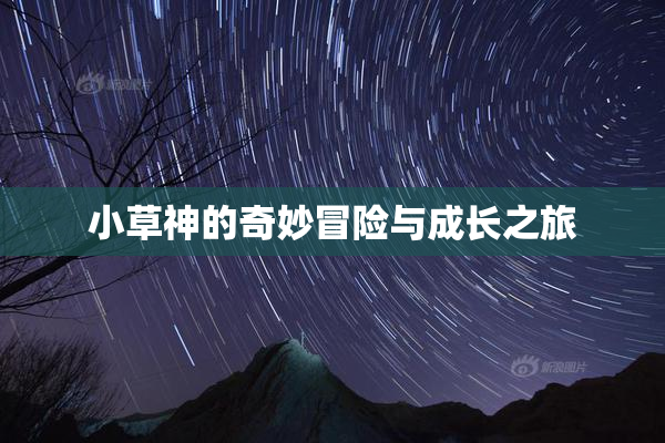 小草神的奇妙冒险与成长之旅