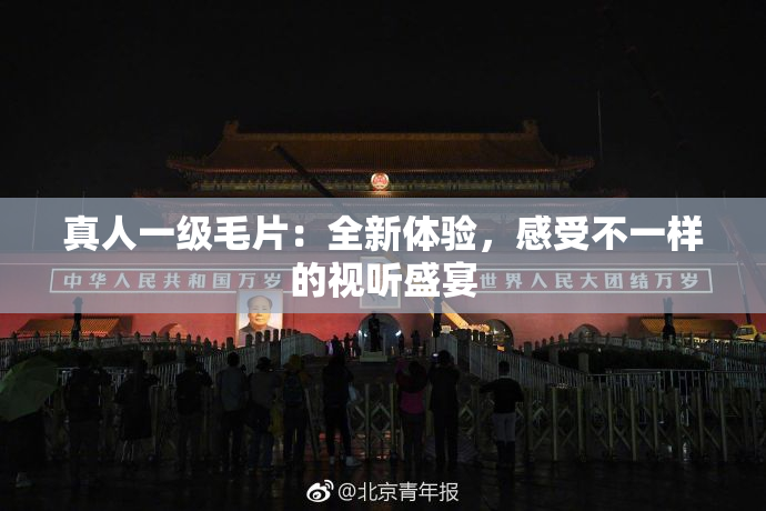真人一级毛片：全新体验，感受不一样的视听盛宴