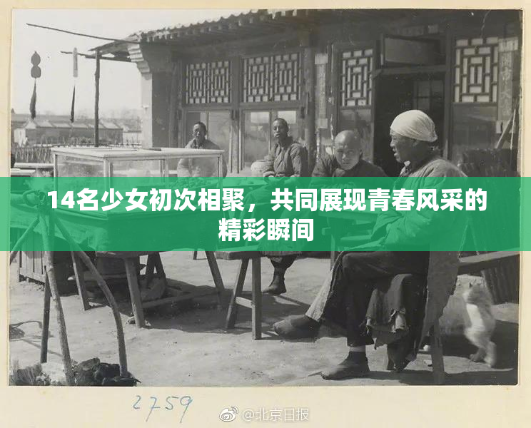14名少女初次相聚，共同展现青春风采的精彩瞬间
