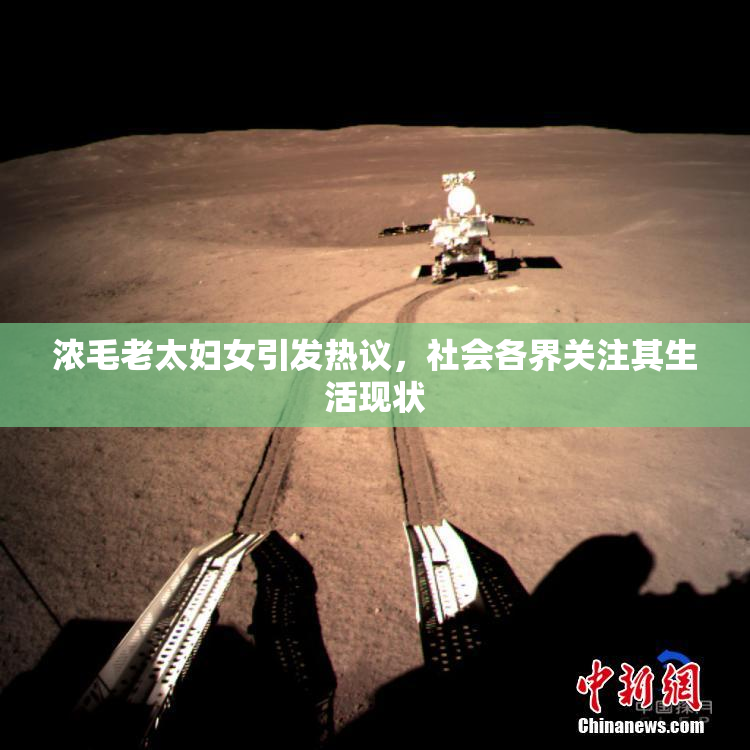 浓毛老太妇女引发热议，社会各界关注其生活现状