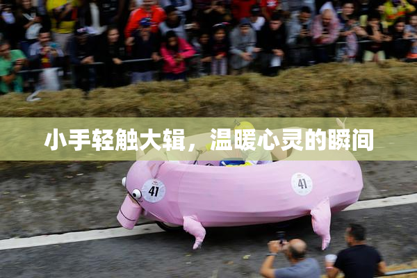 小手轻触大辑，温暖心灵的瞬间