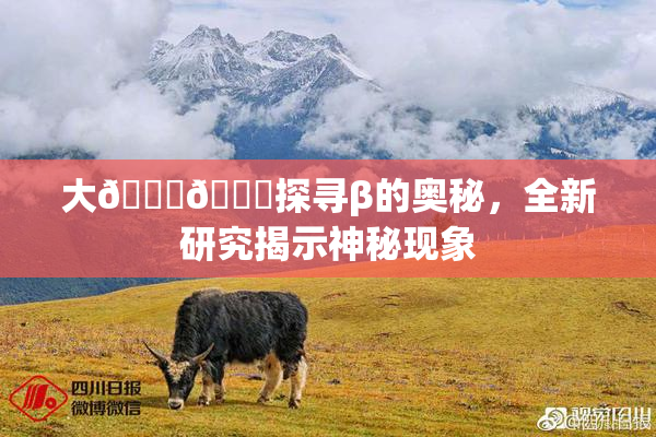 大🐔🐔探寻β的奥秘，全新研究揭示神秘现象