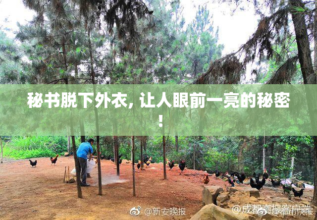 秘书脱下外衣, 让人眼前一亮的秘密！