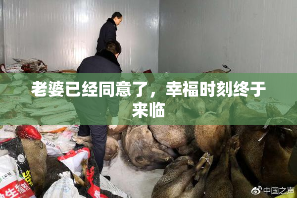 老婆已经同意了，幸福时刻终于来临