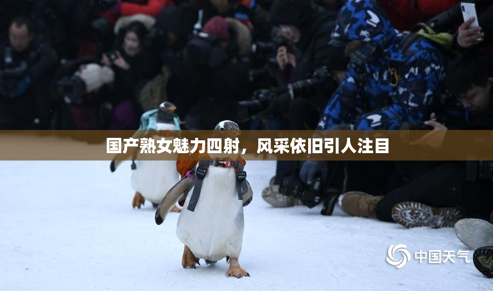 国产熟女魅力四射，风采依旧引人注目
