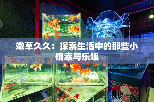 嫩草久久：探索生活中的那些小确幸与乐趣