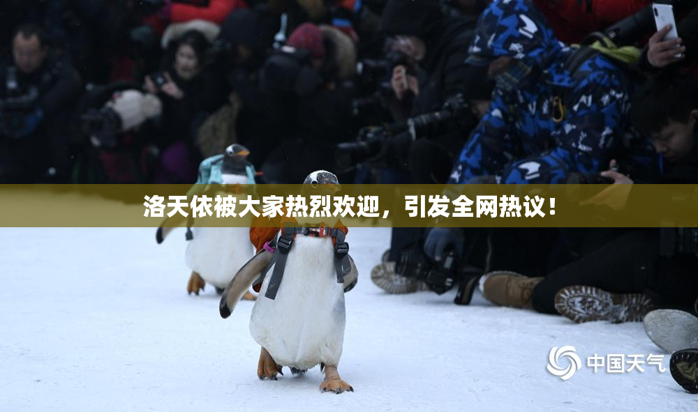 洛天依被大家热烈欢迎，引发全网热议！