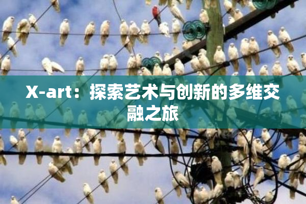 X-art：探索艺术与创新的多维交融之旅