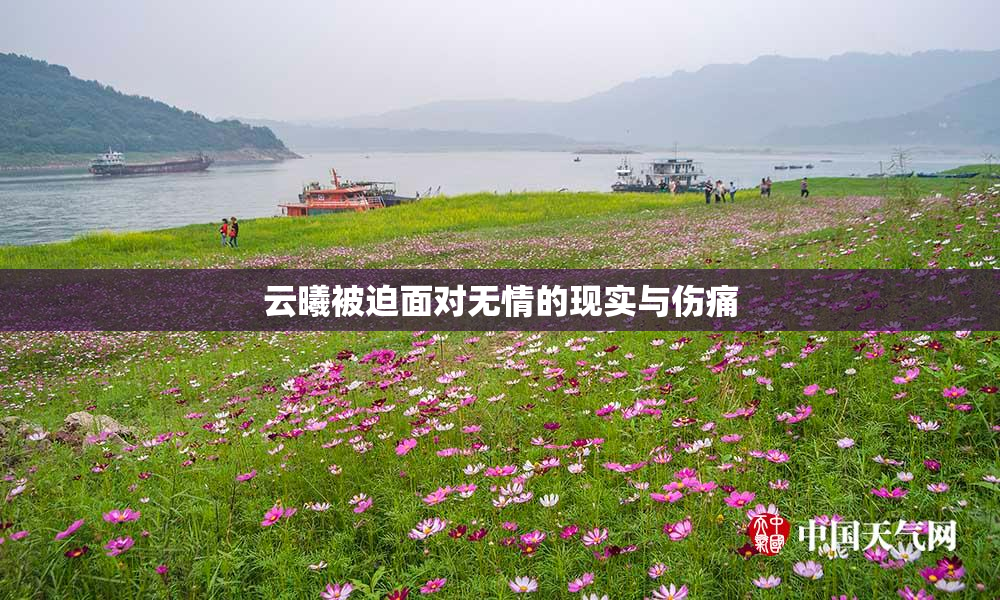 云曦被迫面对无情的现实与伤痛