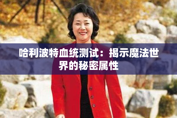 哈利波特血统测试：揭示魔法世界的秘密属性