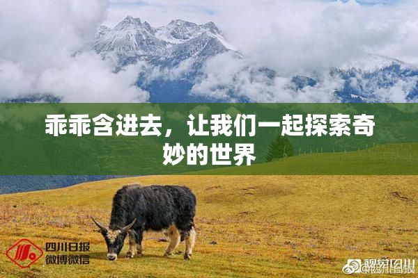 乖乖含进去，让我们一起探索奇妙的世界