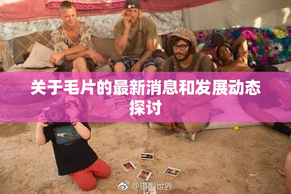 关于毛片的最新消息和发展动态探讨