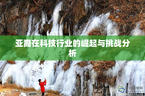 亚裔在科技行业的崛起与挑战分析