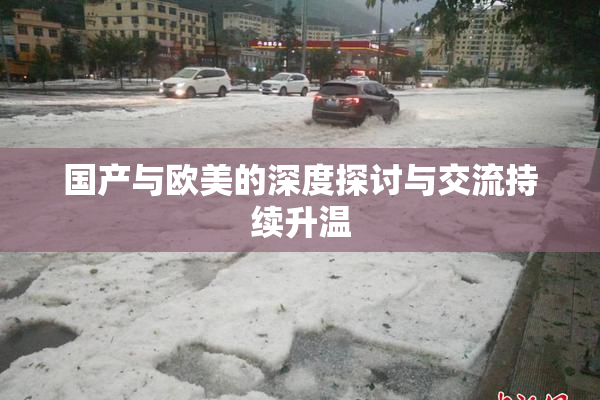 国产与欧美的深度探讨与交流持续升温