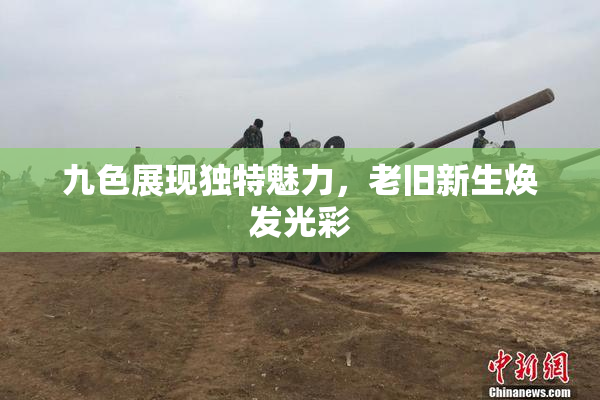 九色展现独特魅力，老旧新生焕发光彩