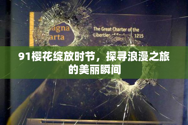 91樱花绽放时节，探寻浪漫之旅的美丽瞬间