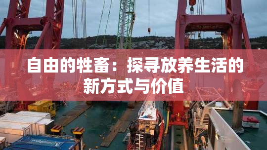 自由的牲畜：探寻放养生活的新方式与价值