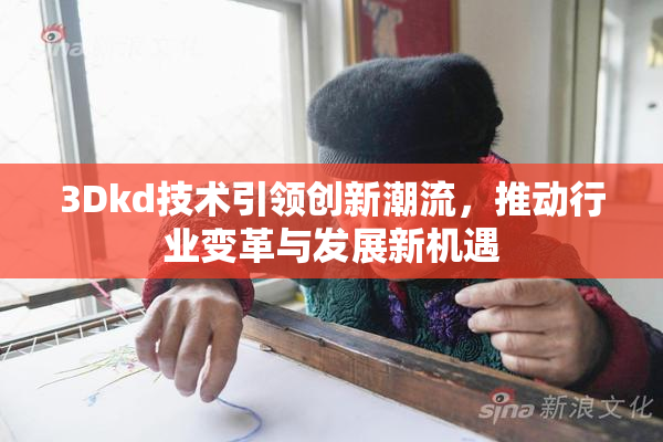 3Dkd技术引领创新潮流，推动行业变革与发展新机遇