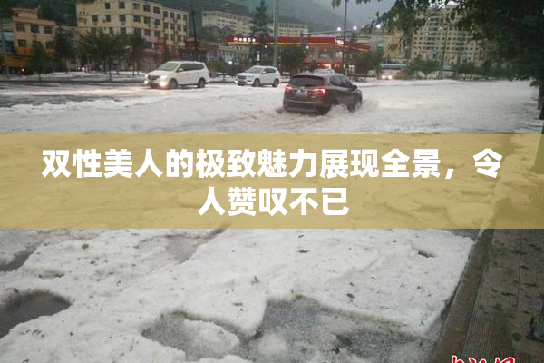 双性美人的极致魅力展现全景，令人赞叹不已