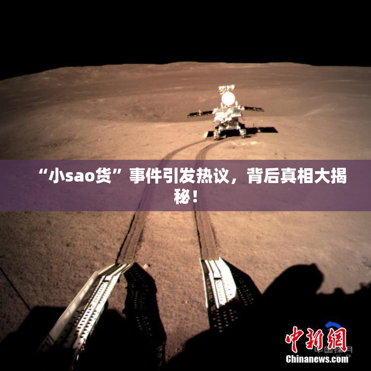 “小sao货”事件引发热议，背后真相大揭秘！
