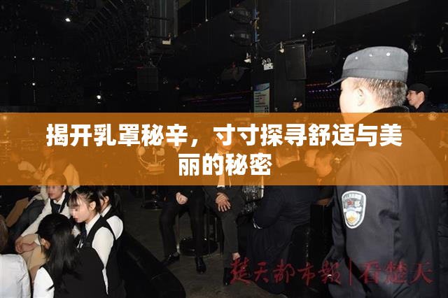 揭开乳罩秘辛，寸寸探寻舒适与美丽的秘密