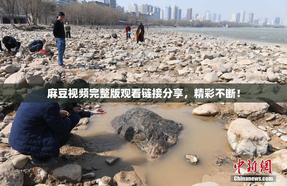 麻豆视频完整版观看链接分享，精彩不断！
