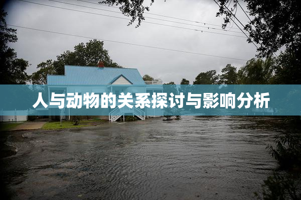 人与动物的关系探讨与影响分析