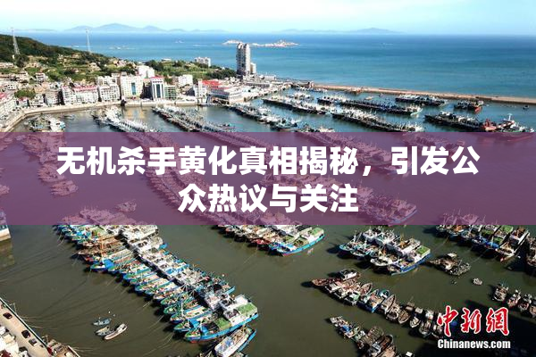 无机杀手黄化真相揭秘，引发公众热议与关注