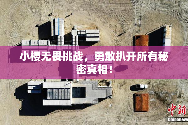 小樱无畏挑战，勇敢扒开所有秘密真相！