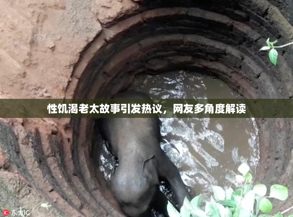 性饥渴老太故事引发热议，网友多角度解读
